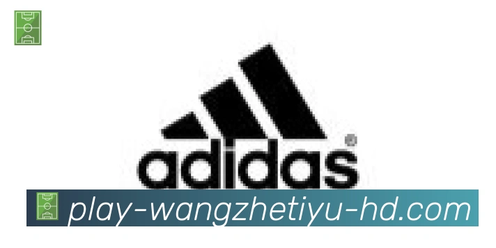 王者体育直播合作伙伴